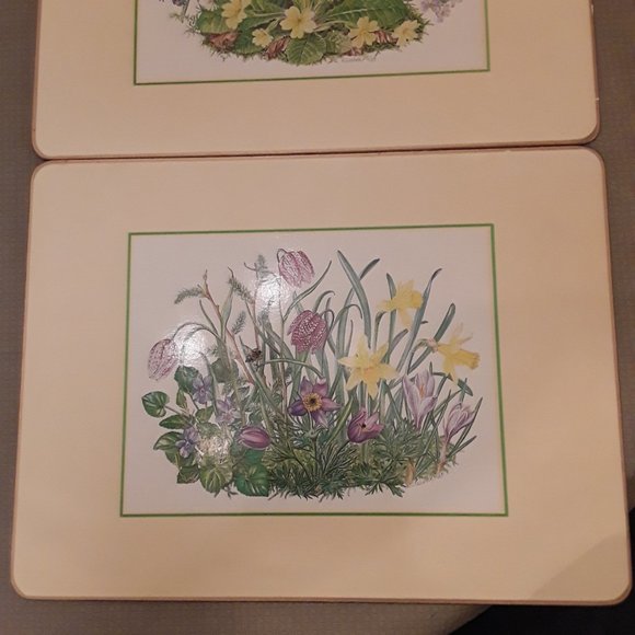 Set of 3 Floral Cork Table Mats Clover Leaf Elizabeth Rice Design UK 15x11.5 - Picture 3 of 9